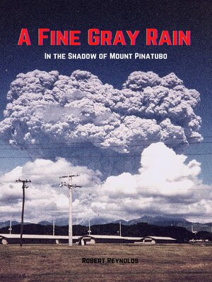 cover image of A Fine Gray Rain